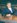 ANTONIO CUSTODIO Lopes