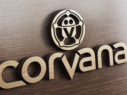 Professional Logo / Branding Service
